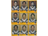 114 - Scanlens cards of Souths players