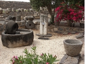68 - Capernaum - Millstone and Olive Press