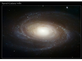 68 - Galaxy M81