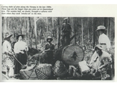 1880's Timber cutting along the Nerang River