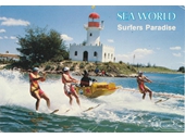 1980's Sea World Postcard 3