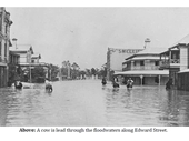 136 - Cow lead through Edward St during the 1893 Flood