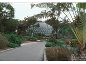 113 - Mt Coot-tha Botanical Gardens