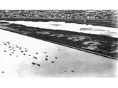 29 - Aerial view showing an additional arm of the Brisbane River approximately where Curtain Avenue West is today