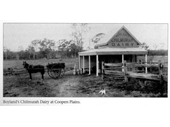 98 - A dairy at Coopers Plains