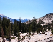 11 - Yosemite National Park