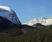 67 - View along Icefields Parkway
