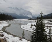 74 - View along Icefields Parkway