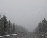 77 - Snow falling along Icefields Parkway