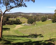 72 - Adelaide Hills vineyard