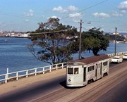 16 - A tram on Kingsford Smith Drive