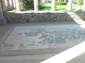 134 - Alexander the Great mosaic in Pompeii