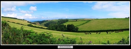17 Devon Countryside