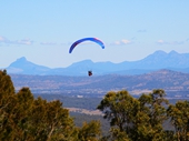 24- Paraglider taking off from Mount Tamborine