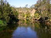 205 - Brisbane River at Colleges Crossing